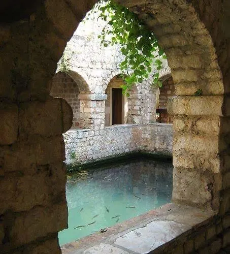 Antonio